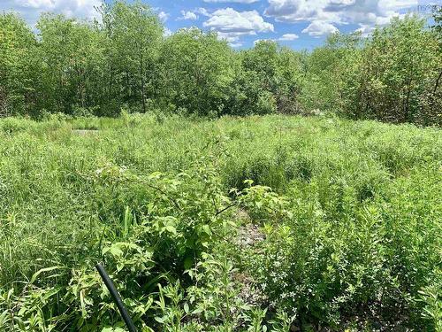 205 Thomas Dickson Road, Claremont, NS 