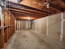 Unspoiled Basement - 