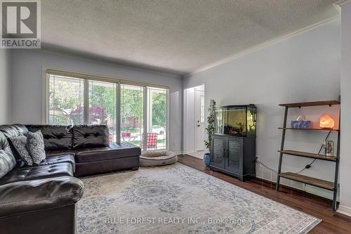 Living Room - 219 Worthington Avenue, London South (South T), ON 