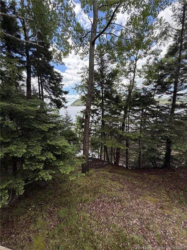 00 Champlain Dr, Dufferin, NB 