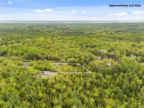 219/235 Post Rd, Minto, NB 