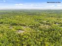 219/235 Post Rd, Minto, NB 
