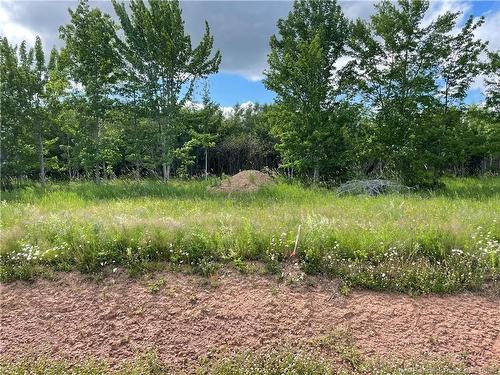 Lot 21-4 Fawcett Ave, Petitcodiac, NB 