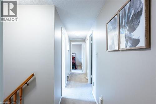 Hallway featuring light gray wall paint, textured ceiling, and neutral carpet flooring - 28 Mcgibbon Court, Kitchener, ON 