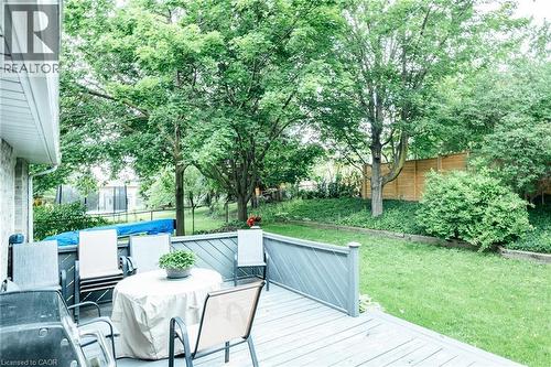 Expansive backyard featuring a wood-finish deck with a gray railing, manicured lawn, mature trees, and a wooden privacy fence - 28 Mcgibbon Court, Kitchener, ON 