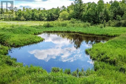 1205 Fair Grounds Road, Ramara, ON 