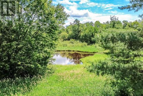 1205 Fair Grounds Road, Ramara, ON 