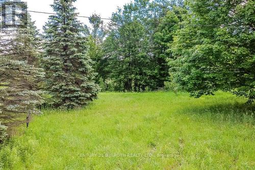 1205 Fair Grounds Road, Ramara, ON 