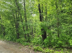 6 Ch. du Lac-Huot  Val-Des-Monts, QC J8N 1E4