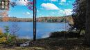 804 Sunset Beach Rd, Iron Bridge, ON 