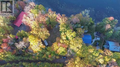 804 Sunset Beach Rd, Iron Bridge, ON 