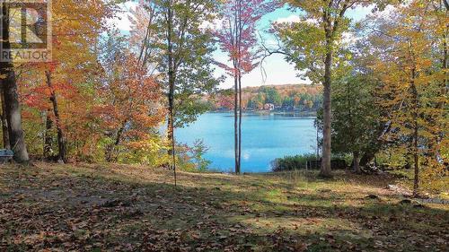 804 Sunset Beach Rd, Iron Bridge, ON 