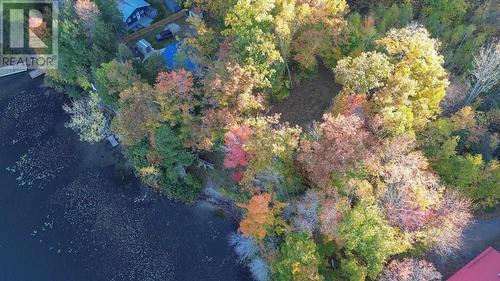 804 Sunset Beach Rd, Iron Bridge, ON 