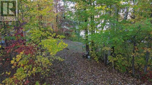 804 Sunset Beach Rd, Iron Bridge, ON 