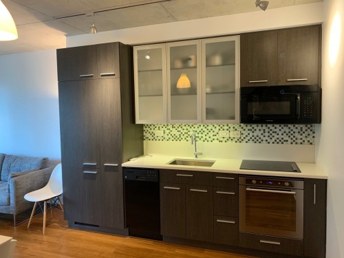 Kitchen - 1604-1000 Rue Ottawa, Montréal (Le Sud-Ouest), QC 
