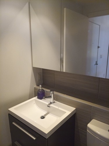 Bathroom - 1604-1000 Rue Ottawa, Montréal (Le Sud-Ouest), QC 