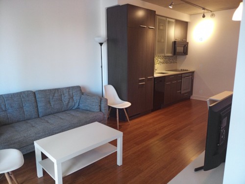 Overall view - 1604-1000 Rue Ottawa, Montréal (Le Sud-Ouest), QC 