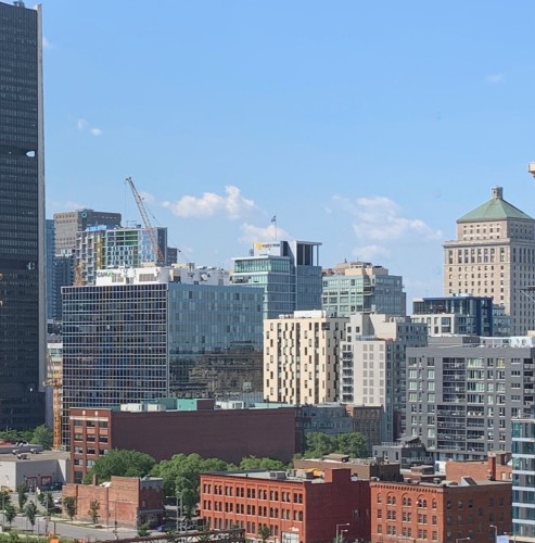 View - 1604-1000 Rue Ottawa, Montréal (Le Sud-Ouest), QC 