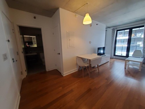 Overall view - 1604-1000 Rue Ottawa, Montréal (Le Sud-Ouest), QC 