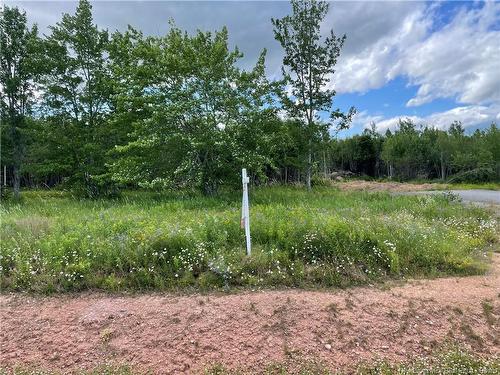 Lot 21-5 Fawcett Ave, Petitcodiac, NB 