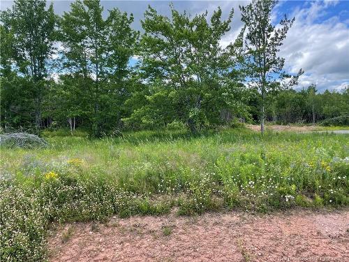 Lot 21-5 Fawcett Ave, Petitcodiac, NB 