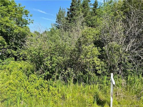 Lot 2 Communication Rd, Irishtown, NB 