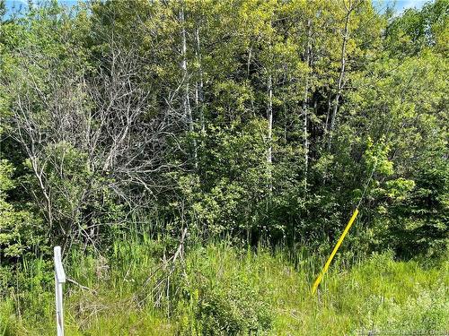 Lot 2 Communication Rd, Irishtown, NB 