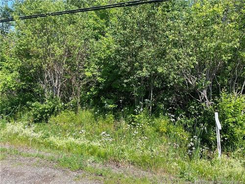 Lot 3 Communication Rd, Irishtown, NB 