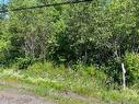 Lot 3 Communication Rd, Irishtown, NB 