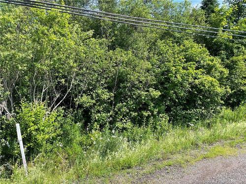 Lot 3 Communication Rd, Irishtown, NB 