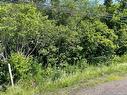 Lot 3 Communication Rd, Irishtown, NB 