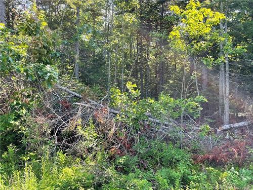 Lot 2 Route 490, Mcquade, NB 