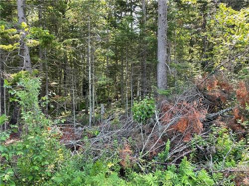 Lot 2 Route 490, Mcquade, NB 