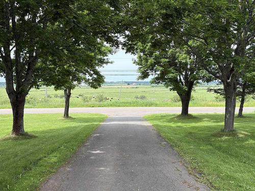 4534 302 Highway, Upper Nappan, NS 