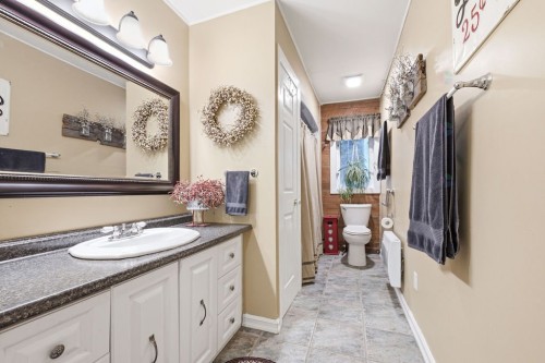Salle de bains - 28 Ch. Mitchell, Otter Lake, QC 