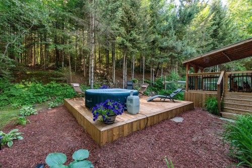 Cour - 28 Ch. Mitchell, Otter Lake, QC 