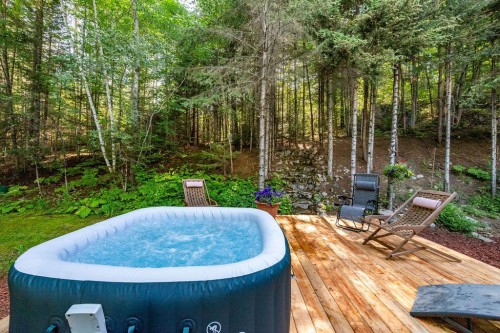 Cour - 28 Ch. Mitchell, Otter Lake, QC 