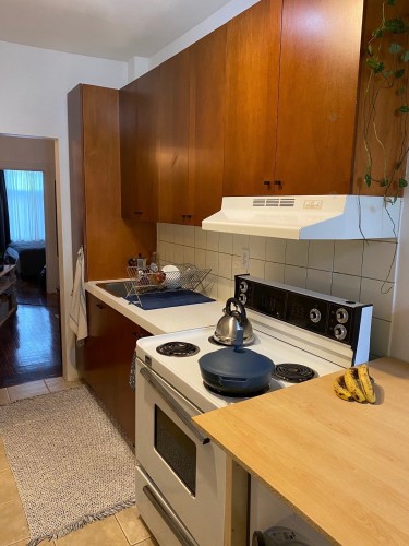 Kitchen - 2296 Rue D'Iberville, Montréal (Ville-Marie), QC 