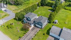 Mature cedar hedge offers privacy - 