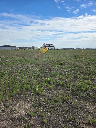 14 Early Rose Bay, Steinbach, MB 
