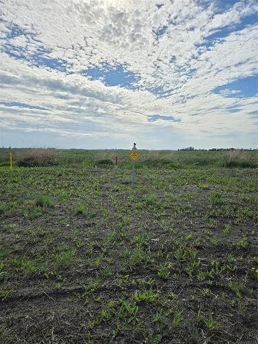 116 Langill Way, Steinbach, MB 