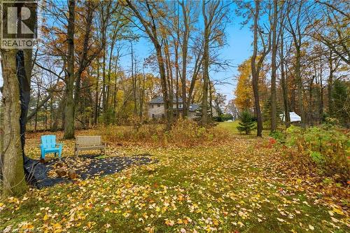 Expansive outdoor space featuring mature trees and a residential structure in the background - 271 Windham Rd 14, Simcoe, ON 