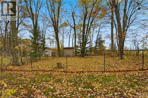 Expansive backyard featuring a lush lawn, mature trees, and a utility shed - 271 Windham Rd 14, Simcoe, ON 