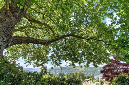 2836 7Th Ave, Port Alberni, BC 