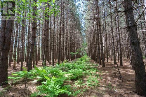 2370 Base Line Rd, Prince Township, ON - Outdoor