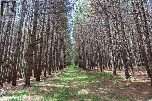 2370 Base Line Rd, Prince Township, ON - Outdoor With View