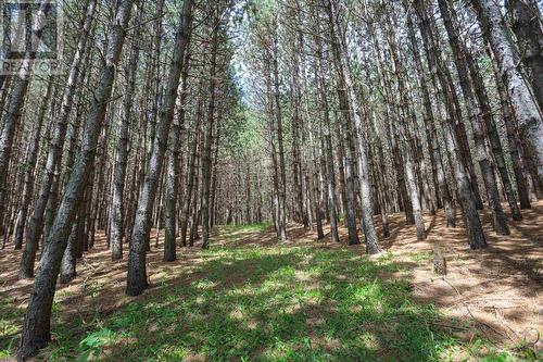 2370 Base Line Rd, Prince Township, ON - Outdoor With View