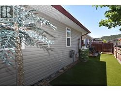 back yard - 
