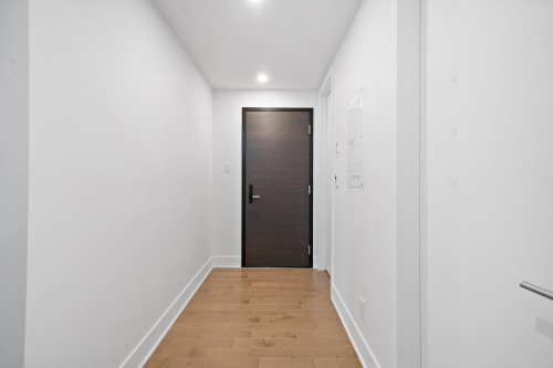 Hall d'entrée/Vestibule - 416-1320 Rue Olier, Montréal (Le Sud-Ouest), QC 