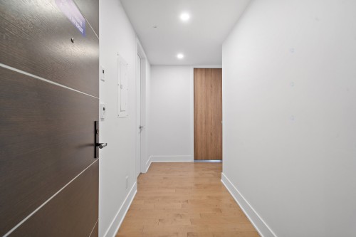 Hall d'entrée/Vestibule - 416-1320 Rue Olier, Montréal (Le Sud-Ouest), QC 